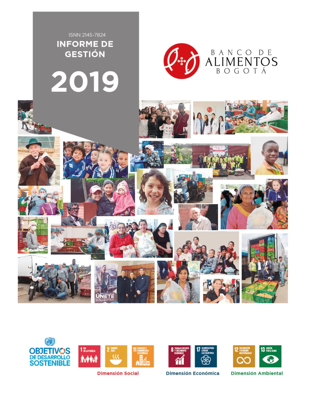 Imagen del informe