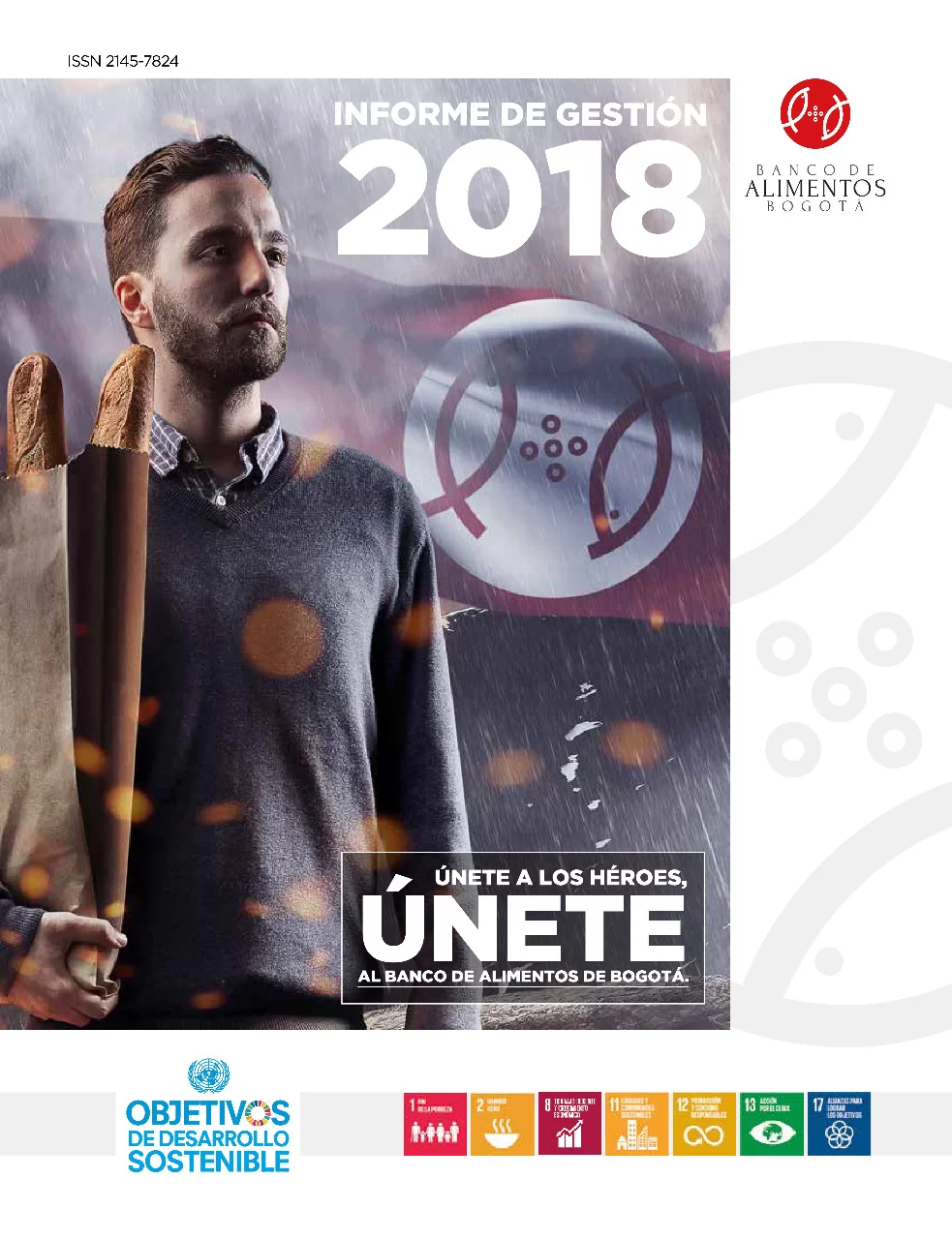 Imagen del informe