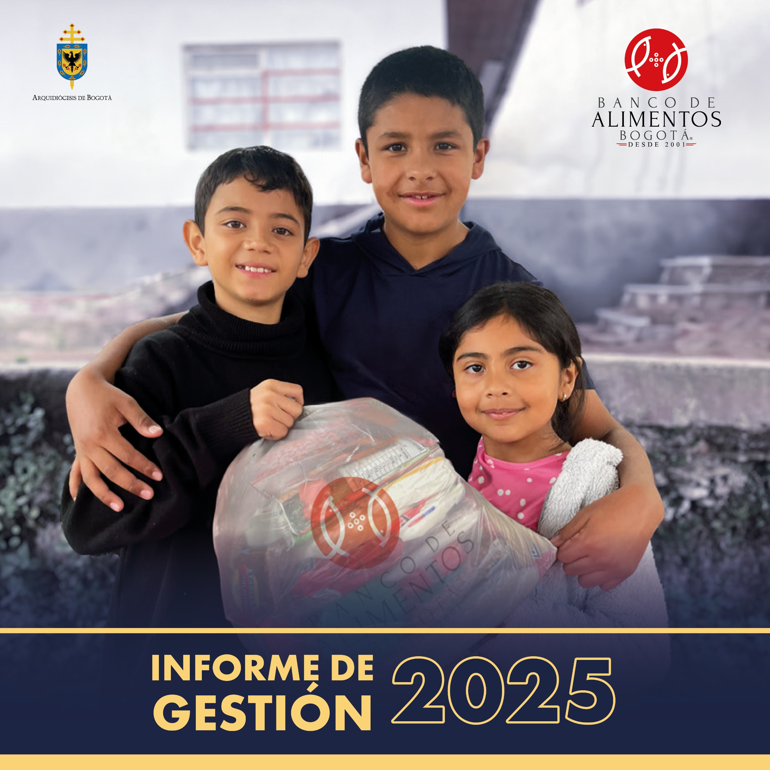 Imagen del informe
